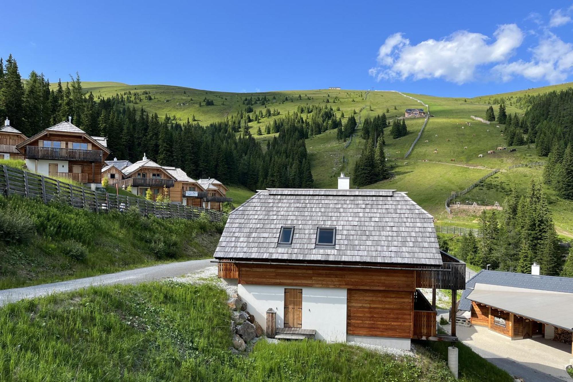 Vesely Svist Chalet Lachtal Buitenkant foto