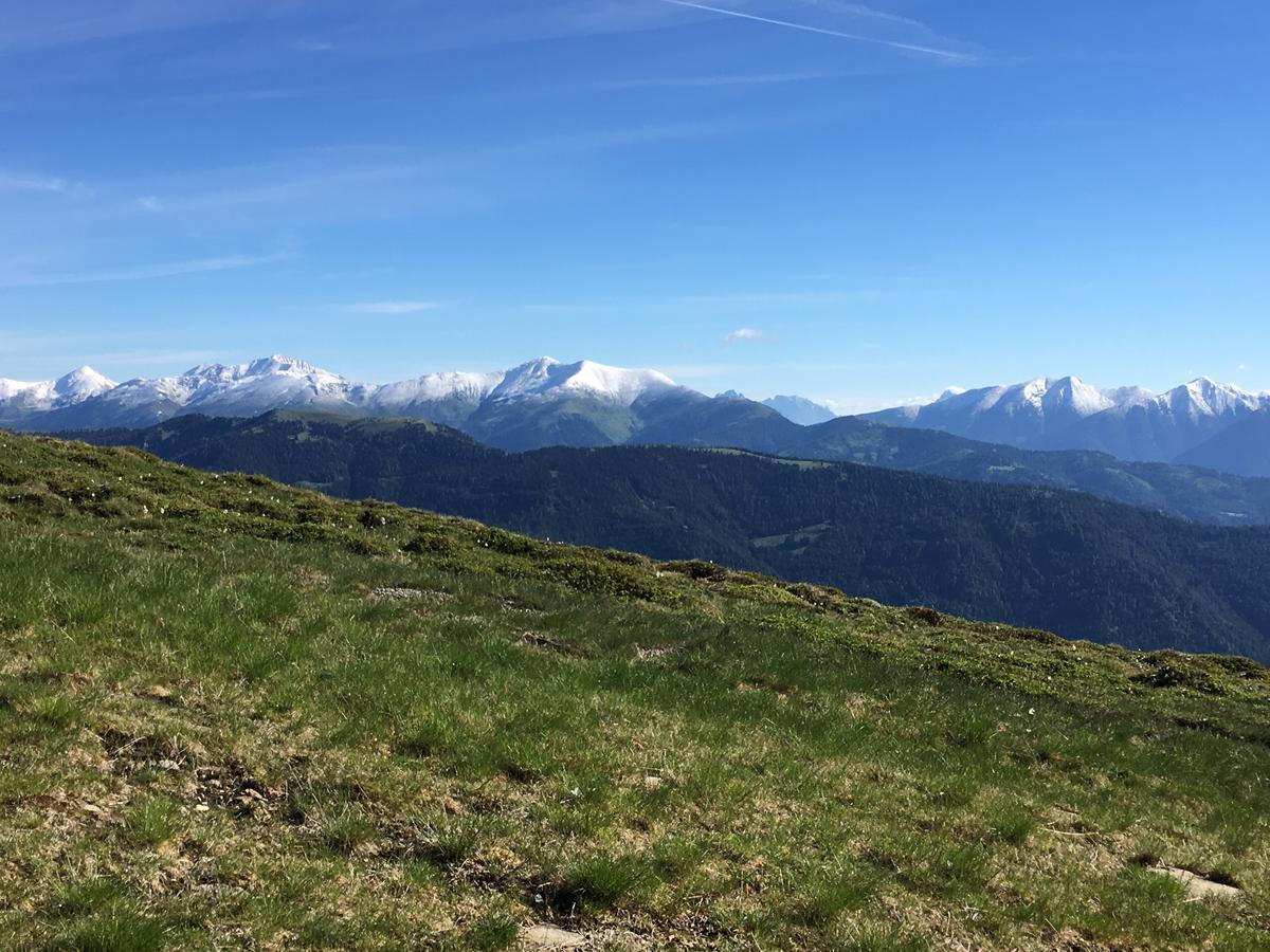 Vesely Svist Chalet Lachtal Buitenkant foto